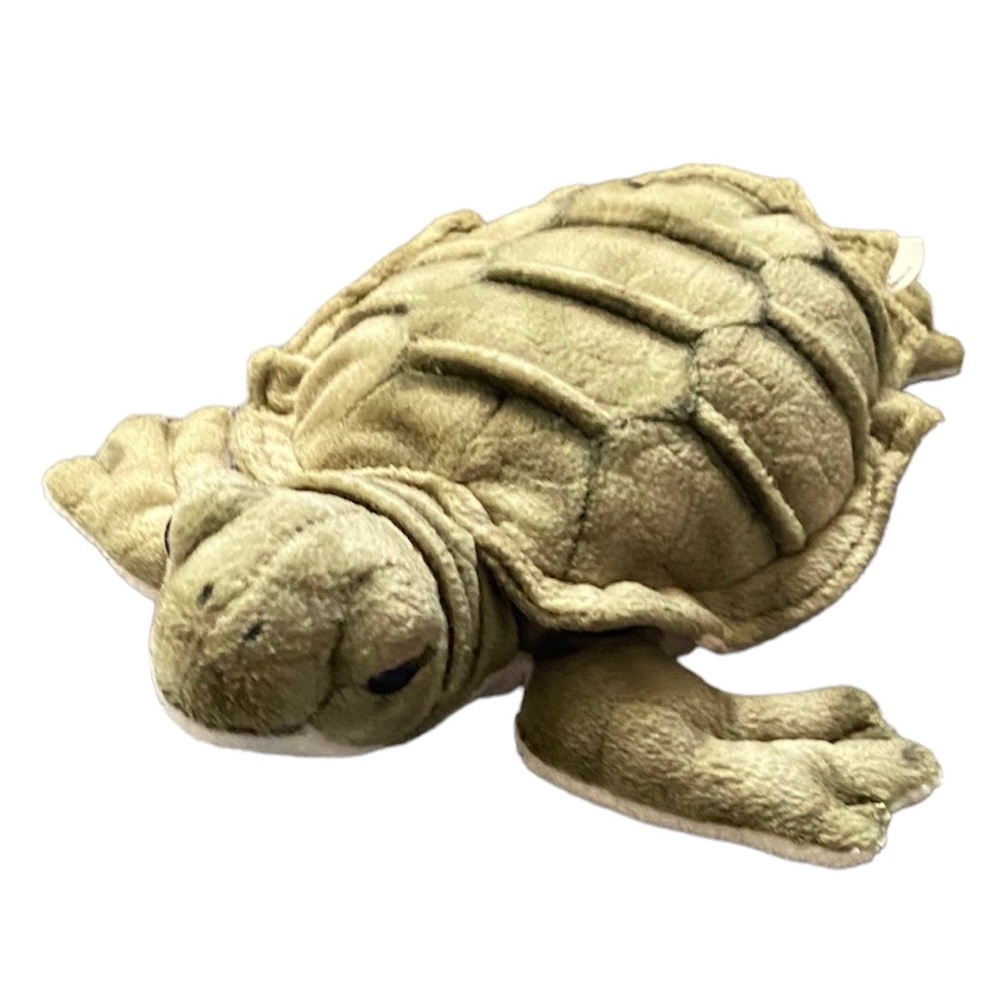 SOS Save Our Space Turtle Tortoise Realistic Plush 10”
